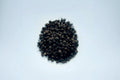 Wild Pepper Virunga